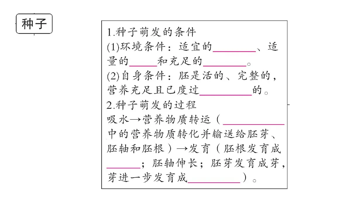 初中生物新人教版七年级下册期末大单元整合一 植物的生活作业课件2025春第3页