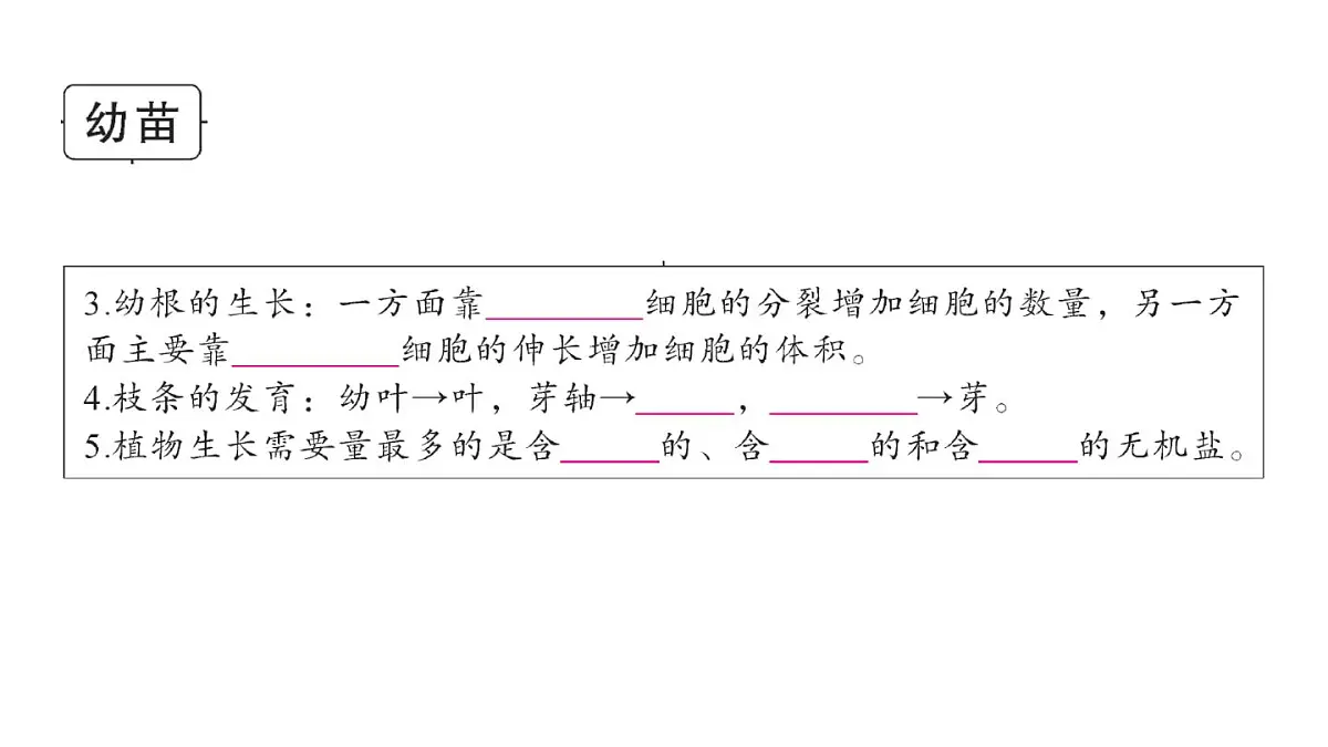 初中生物新人教版七年级下册期末大单元整合一 植物的生活作业课件2025春第4页