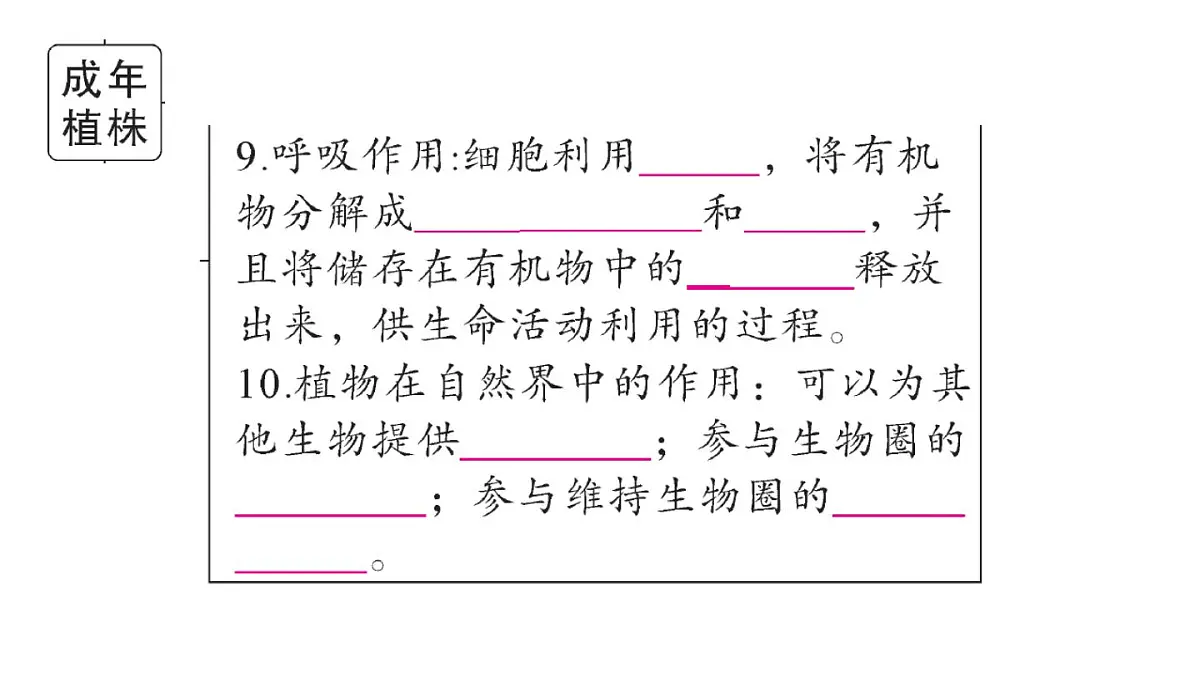 初中生物新人教版七年级下册期末大单元整合一 植物的生活作业课件2025春第6页