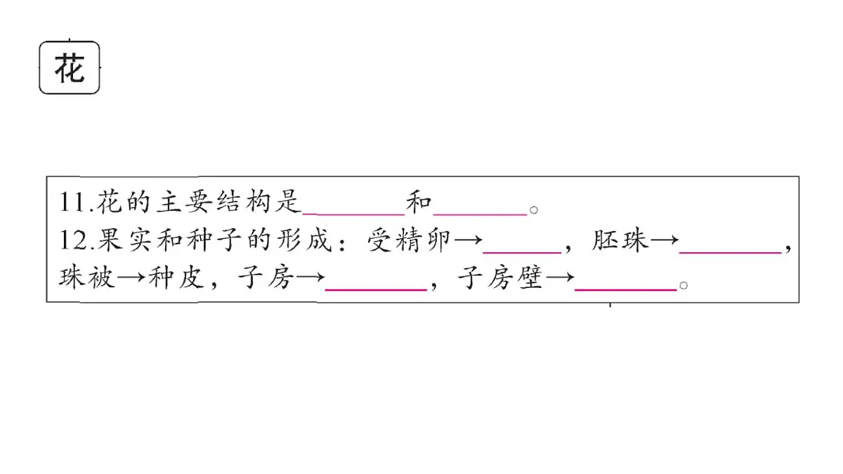 初中生物新人教版七年级下册期末大单元整合一 植物的生活作业课件2025春第7页