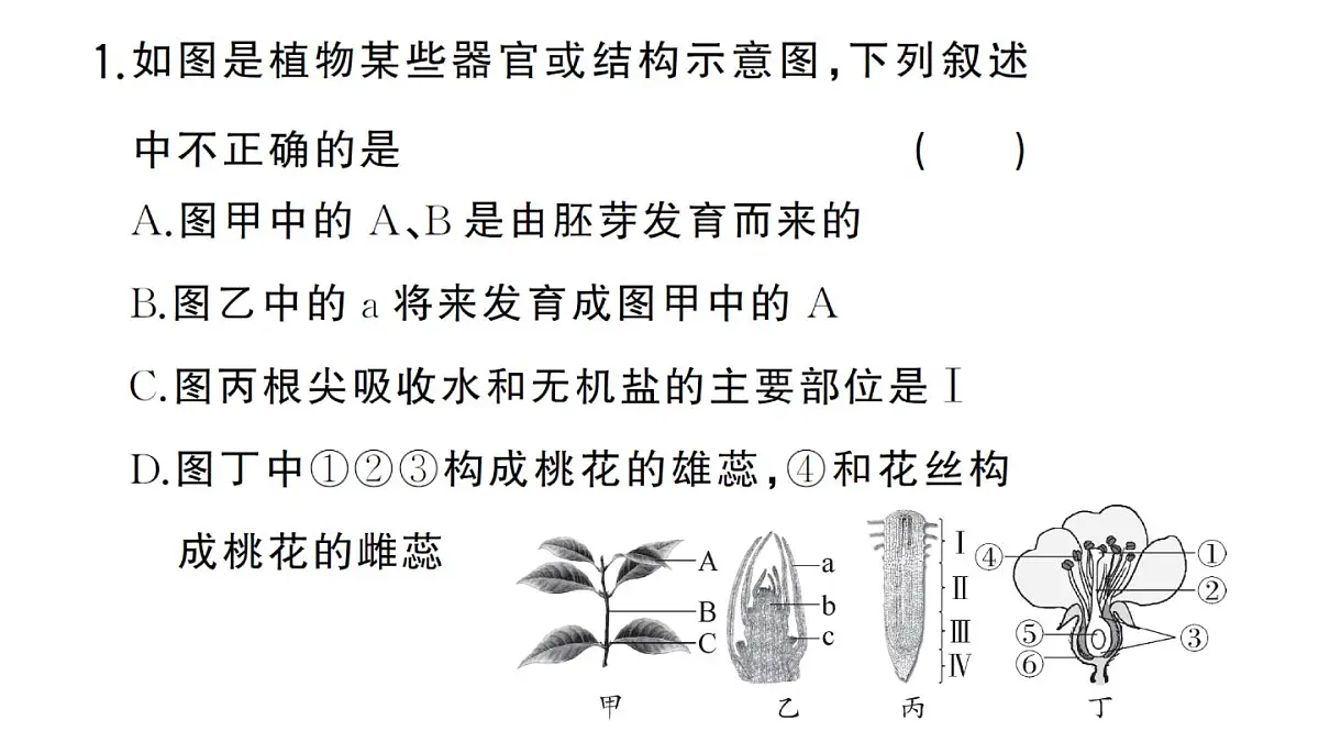 初中生物新人教版七年级下册期末识图理解题作业课件2025春第2页