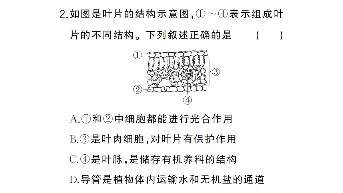 初中生物新人教版七年级下册期末识图理解题作业课件2025春第3页