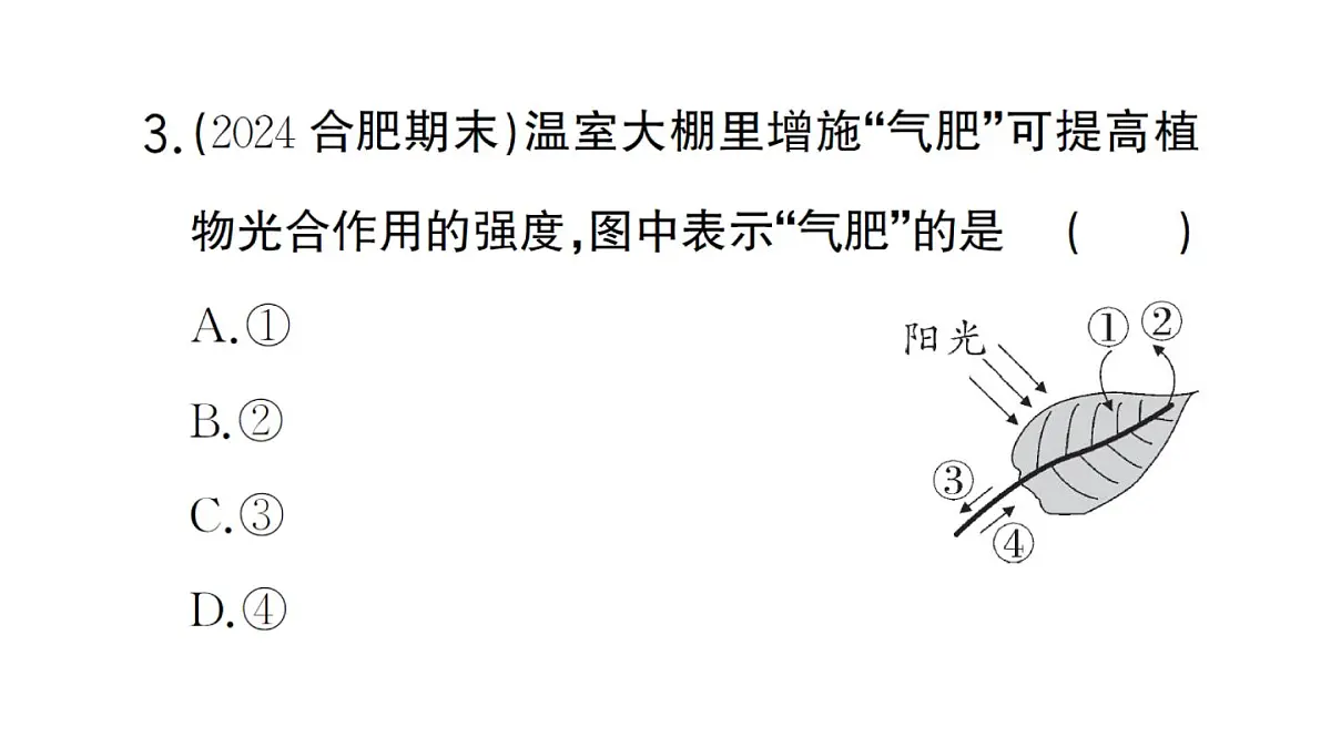初中生物新人教版七年级下册期末识图理解题作业课件2025春第4页