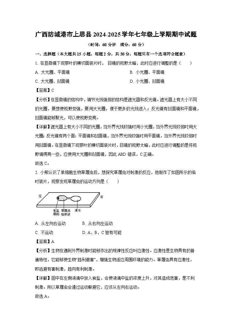 2024~2025学年广西防城港市上思县七年级上学期期中生物试卷(解析版)第1页