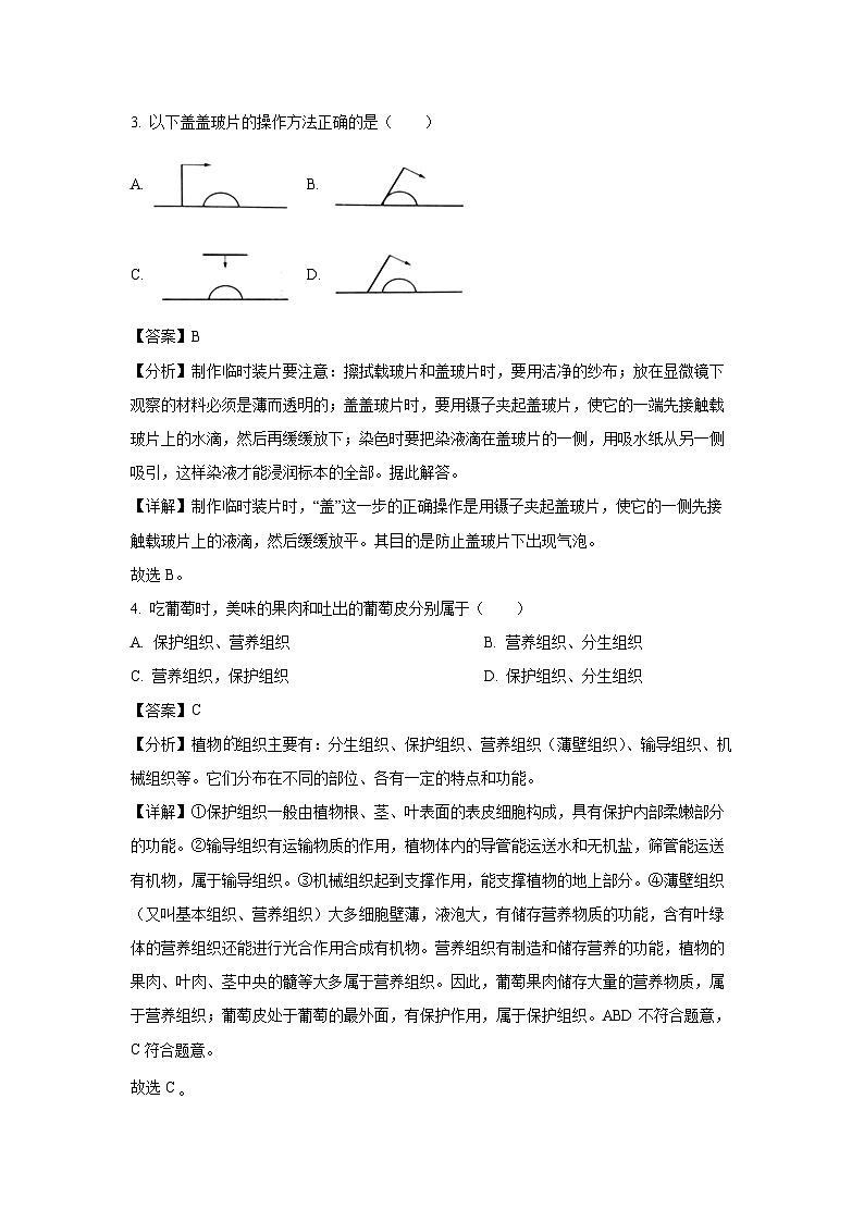 2024~2025学年广西防城港市上思县七年级上学期期中生物试卷(解析版)第2页