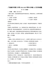 2024~2025学年广西南宁市第八中学七年级上12月月考生物试卷（解析版）