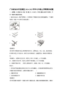 2024~2025学年广东省汕头市龙湖区七年级上学期期末生物试卷（解析版）