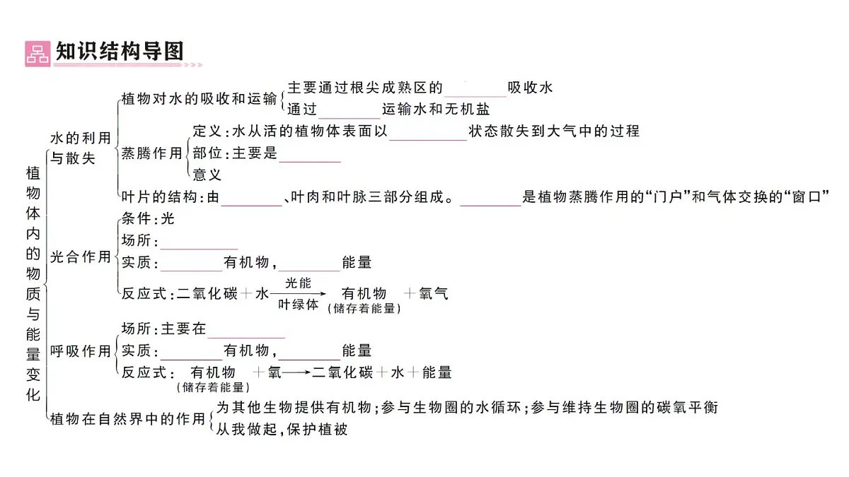 初中生物新人教版七年级下册第三单元第二章总结训练作业课件2025春第2页