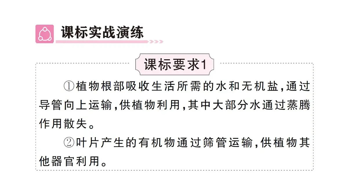 初中生物新人教版七年级下册第三单元第二章总结训练作业课件2025春第3页