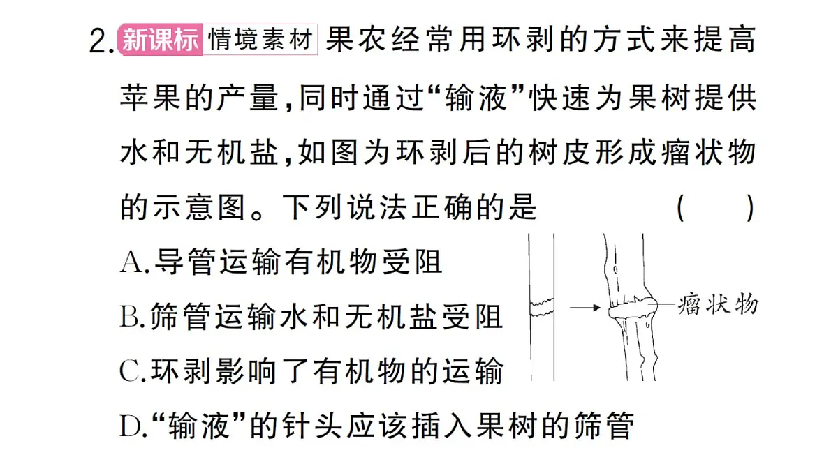 初中生物新人教版七年级下册第三单元第二章总结训练作业课件2025春第5页