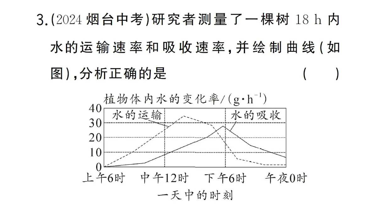 初中生物新人教版七年级下册第三单元第二章总结训练作业课件2025春第6页