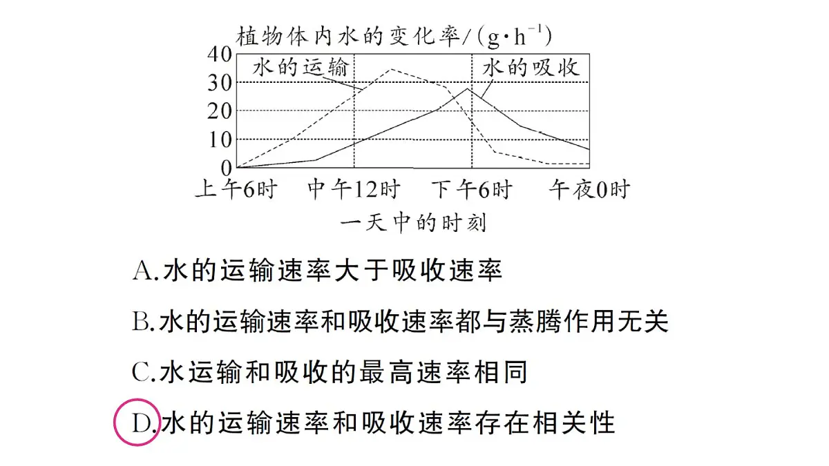 初中生物新人教版七年级下册第三单元第二章总结训练作业课件2025春第7页