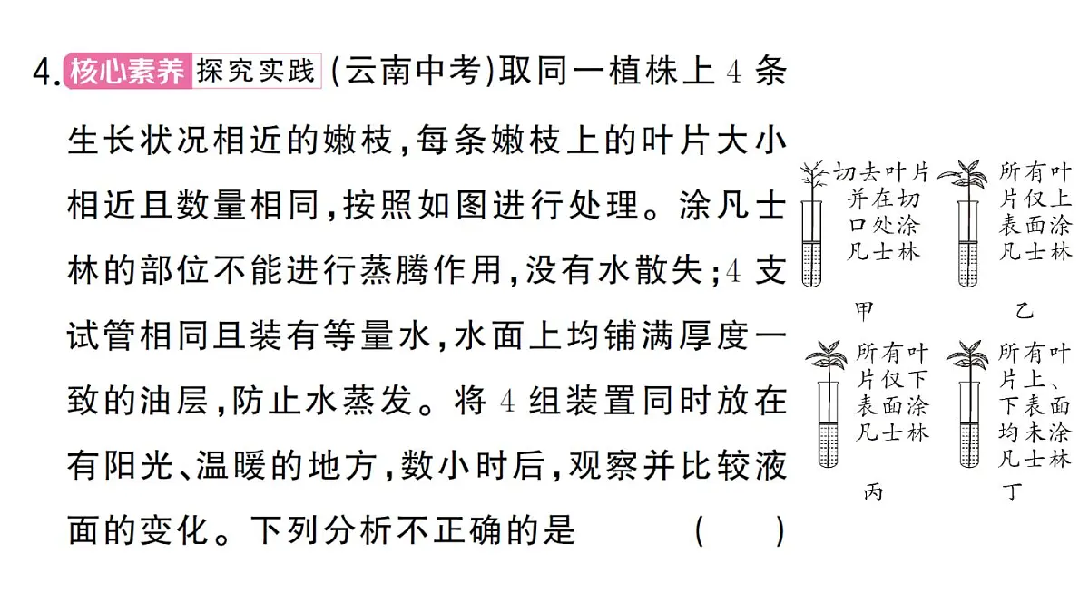 初中生物新人教版七年级下册第三单元第二章总结训练作业课件2025春第8页