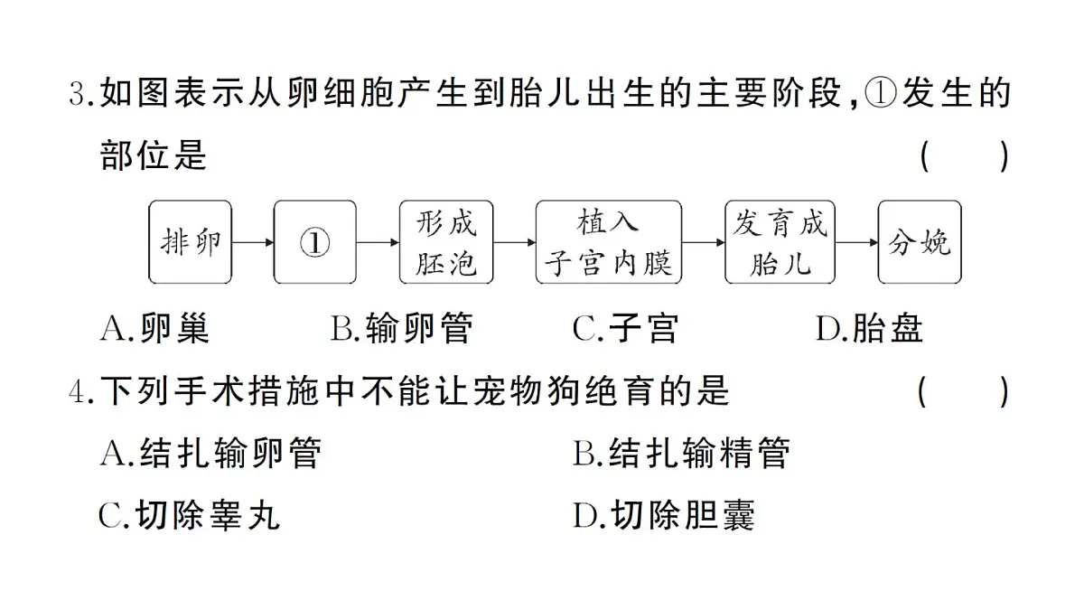 初中生物新人教版七年级下册第四单元第一、二章综合训练作业课件2025春第3页