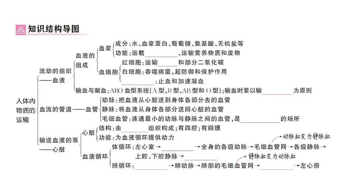 初中生物新人教版七年级下册第四单元第四、五章总结训练作业课件2025春第2页