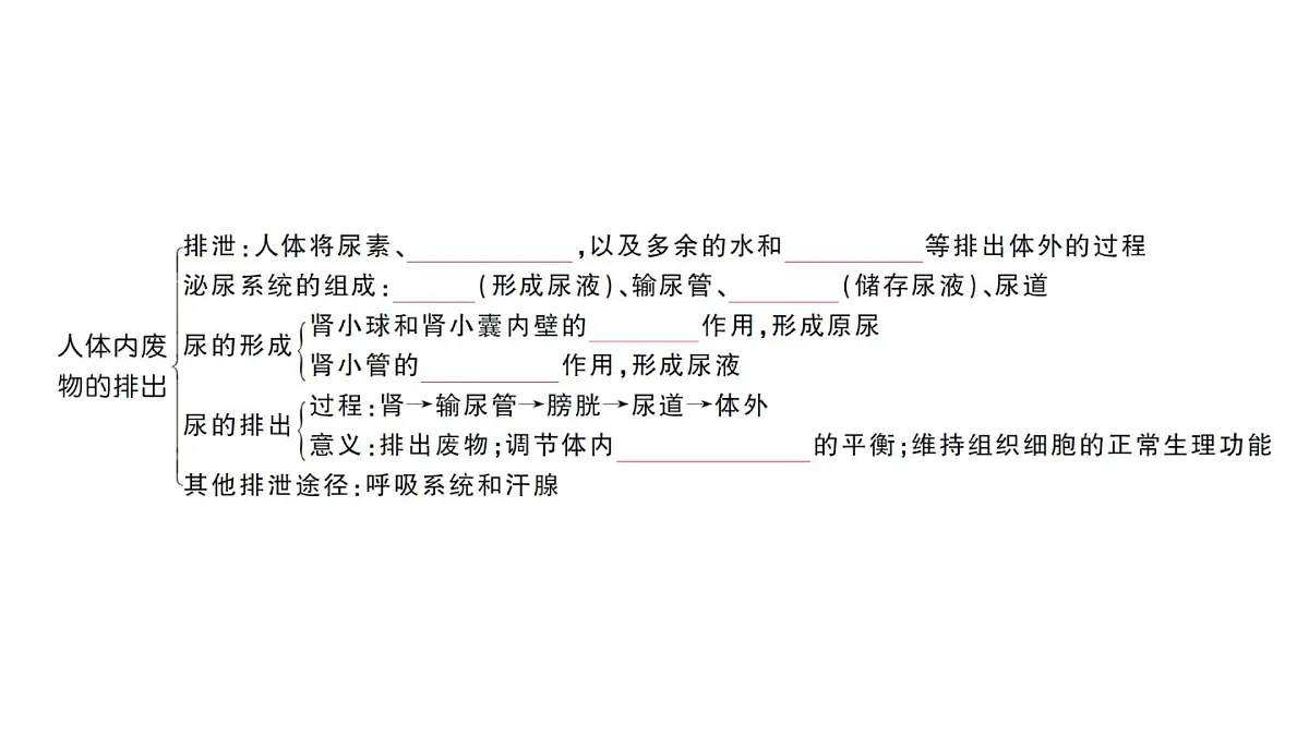 初中生物新人教版七年级下册第四单元第四、五章总结训练作业课件2025春第3页
