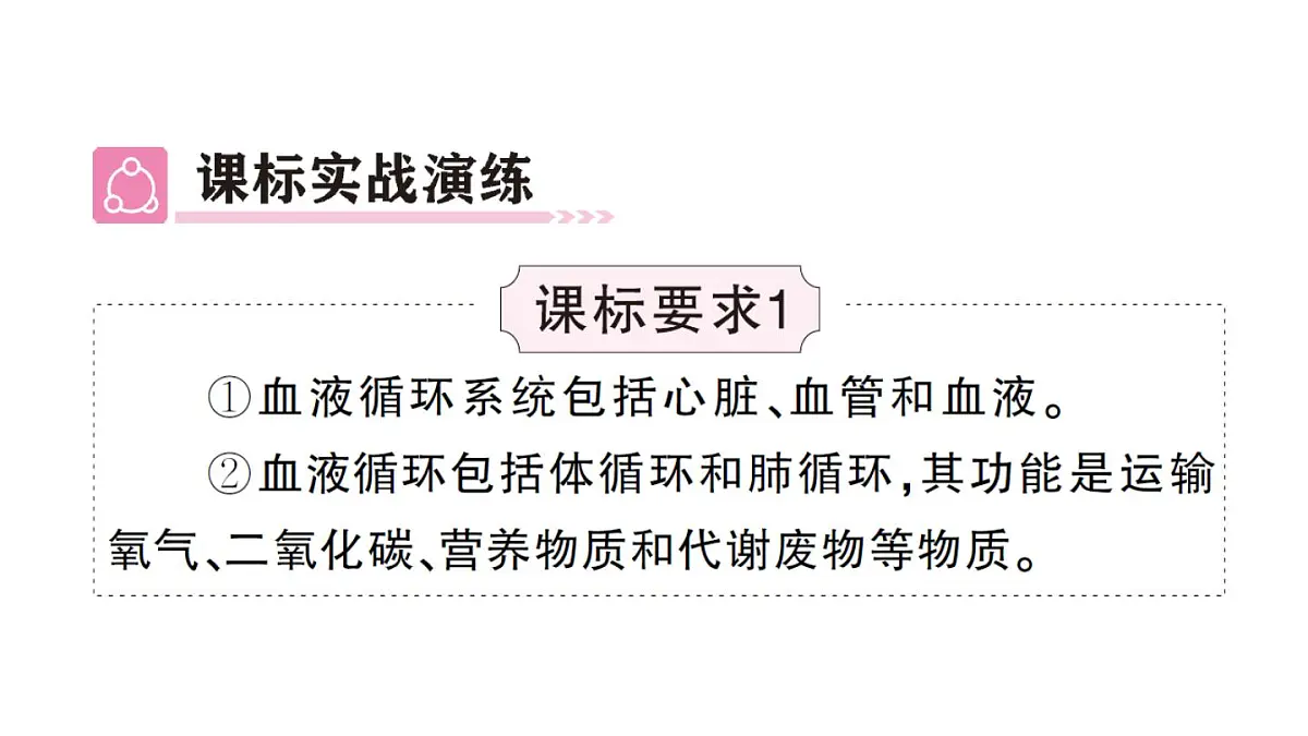 初中生物新人教版七年级下册第四单元第四、五章总结训练作业课件2025春第4页