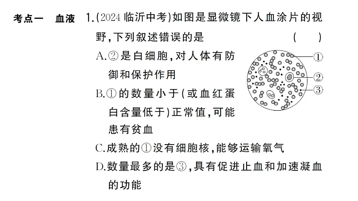 初中生物新人教版七年级下册第四单元第四、五章总结训练作业课件2025春第5页