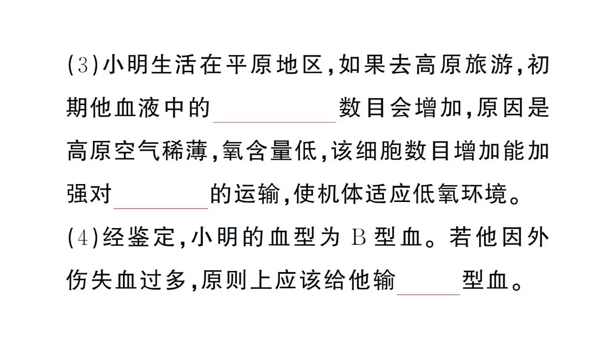初中生物新人教版七年级下册第四单元第四、五章总结训练作业课件2025春第8页