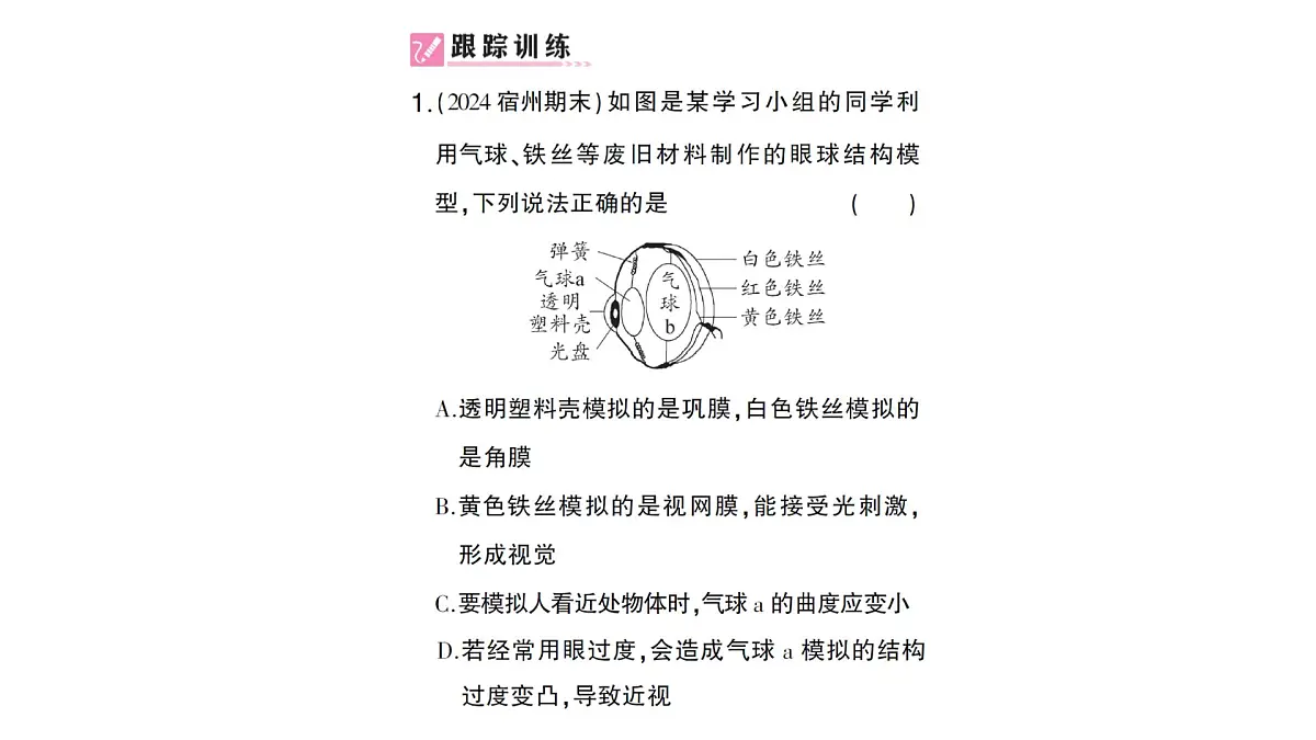初中生物新北师大版七年级下册跨学科实践活动活动二 制作可调节 的成像模型模拟眼球成像作业课件2025春第2页