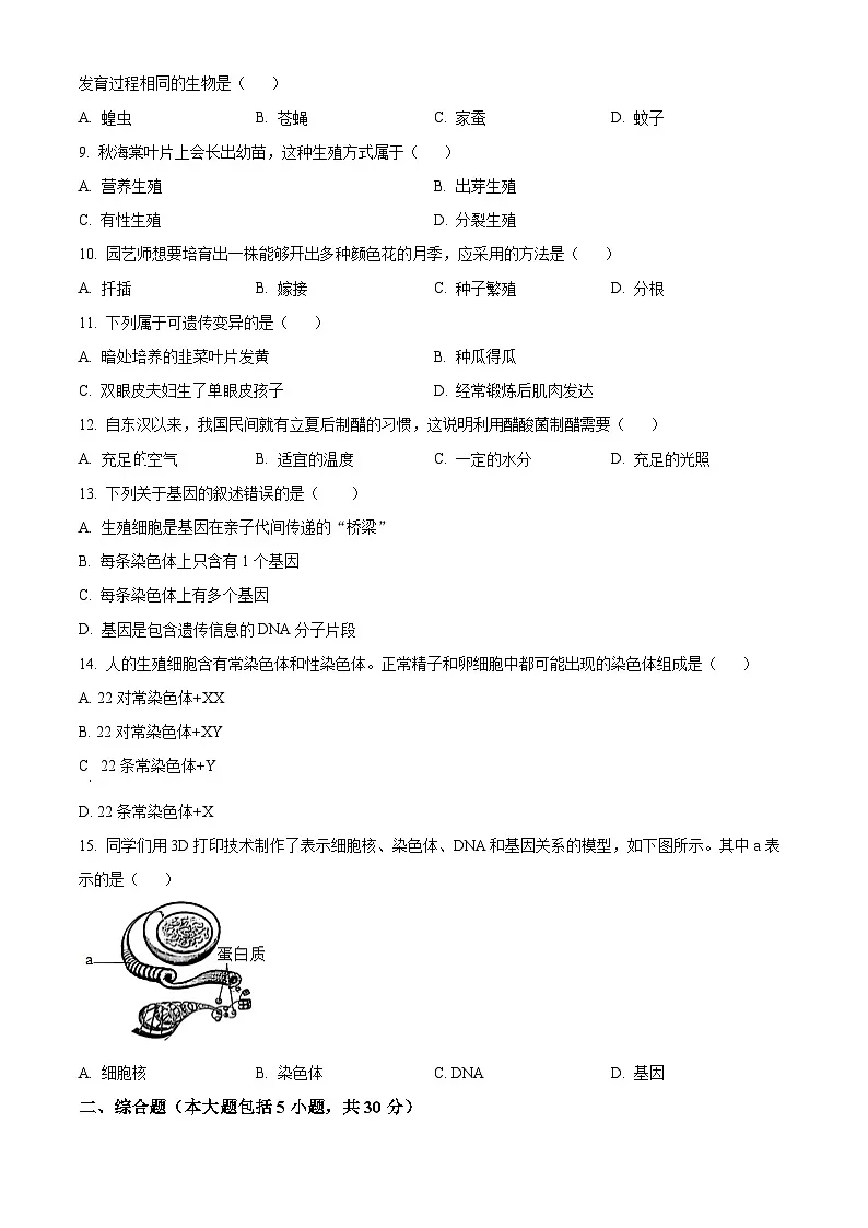 广西河池市宜州区2024-2025学年八年级上学期期末生物试题(原卷版+解析版)第2页