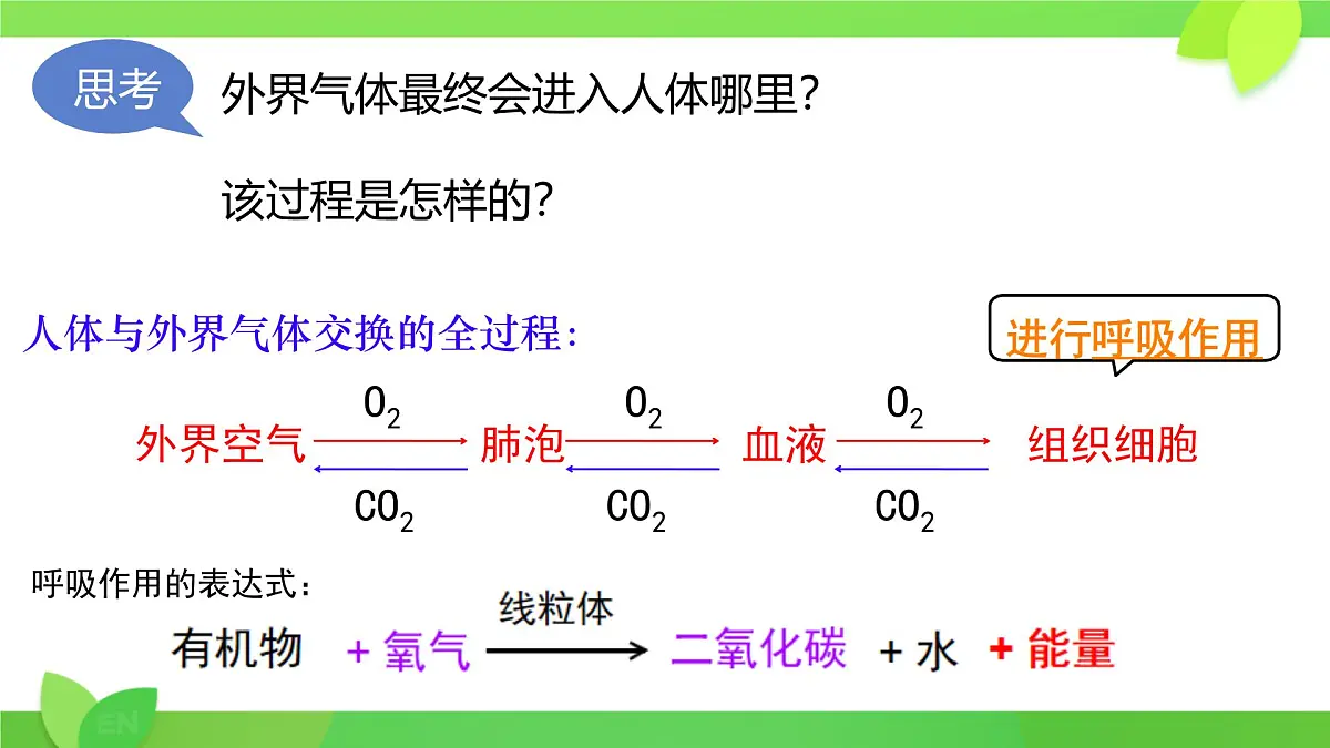 第8章第2节 人体细胞获得氧气的过程(第2课时)2025学年七年级生物下册(北大师版)课件第3页