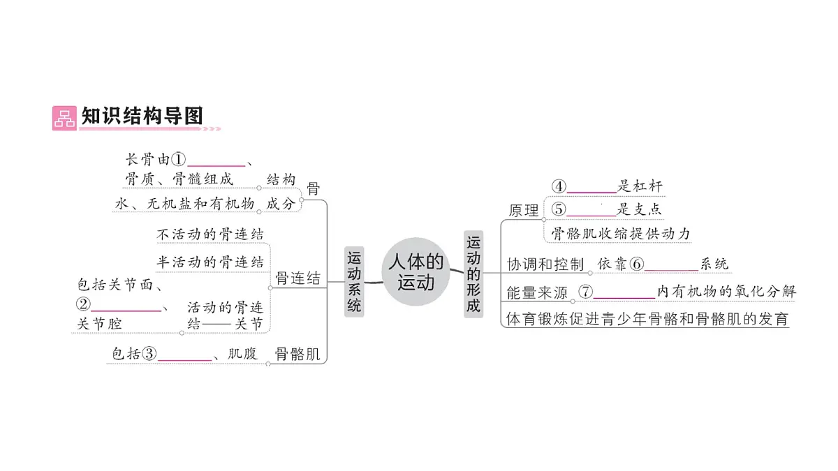 初中生物新北师大版七年级下册第4单元第11章 总结训练作业课件2025春第2页