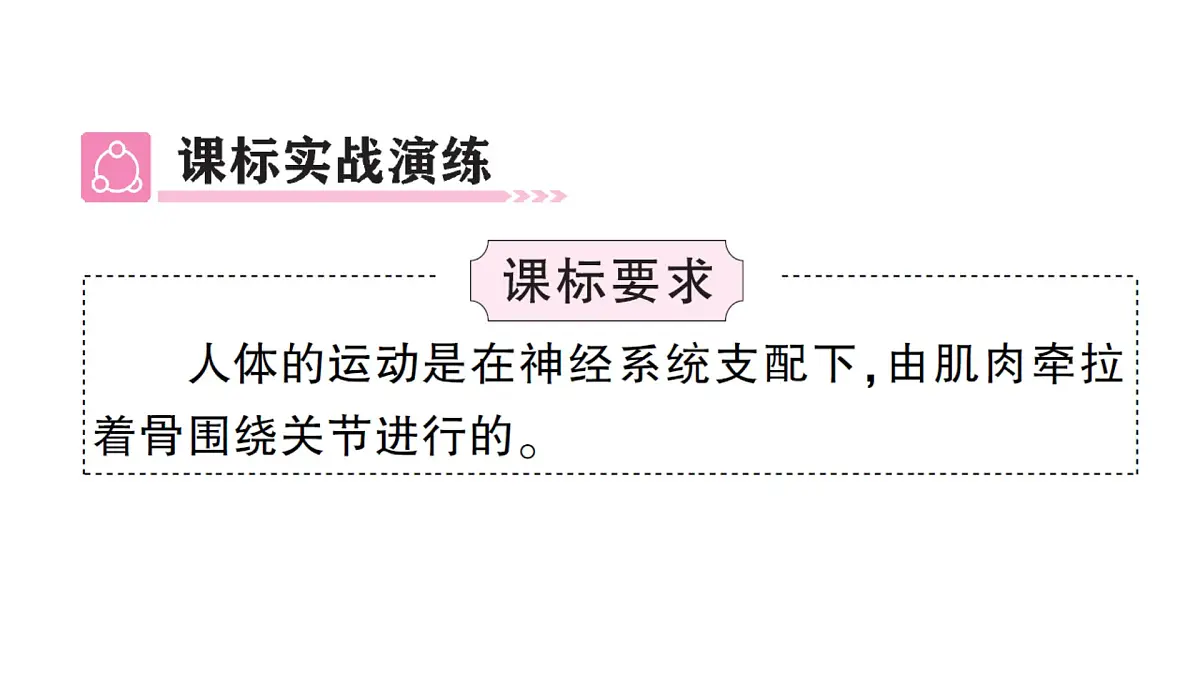 初中生物新北师大版七年级下册第4单元第11章 总结训练作业课件2025春第3页