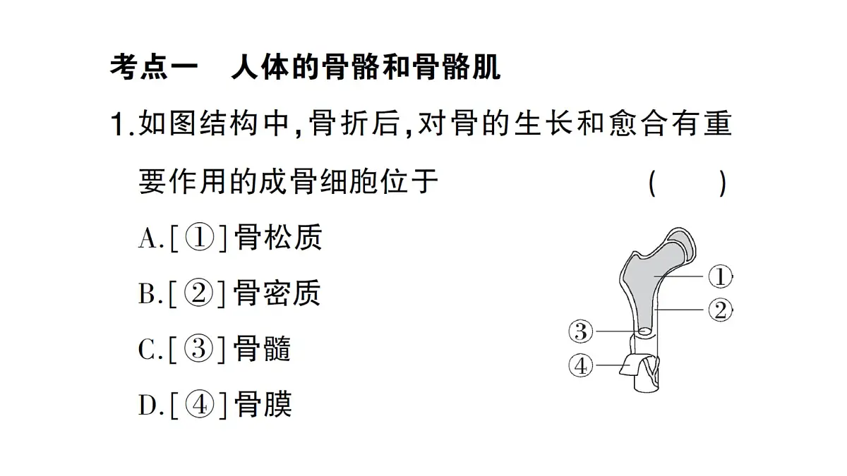 初中生物新北师大版七年级下册第4单元第11章 总结训练作业课件2025春第4页