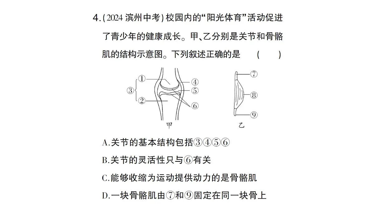 初中生物新北师大版七年级下册第4单元第11章 总结训练作业课件2025春第7页