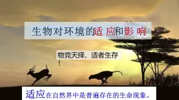 14.2 生物對(duì)環(huán)境的適應(yīng)和影響-2024-2025學(xué)年八年級(jí)生物下冊(cè)優(yōu)質(zhì)課件（北京版2024）