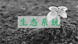 14.3 生態(tài)系統(tǒng)-2024-2025學(xué)年八年級(jí)生物下冊(cè)同步優(yōu)質(zhì)課件（北京版2024）