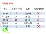 15.1 傳染病-2024-2025學(xué)年八年級(jí)生物下冊(cè)同步精品精品課件（北京版2024）