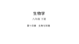 第14章 生物與環(huán)境-2024-2025學(xué)年八年級(jí)生物下冊(cè)同步課件（北京版2024）