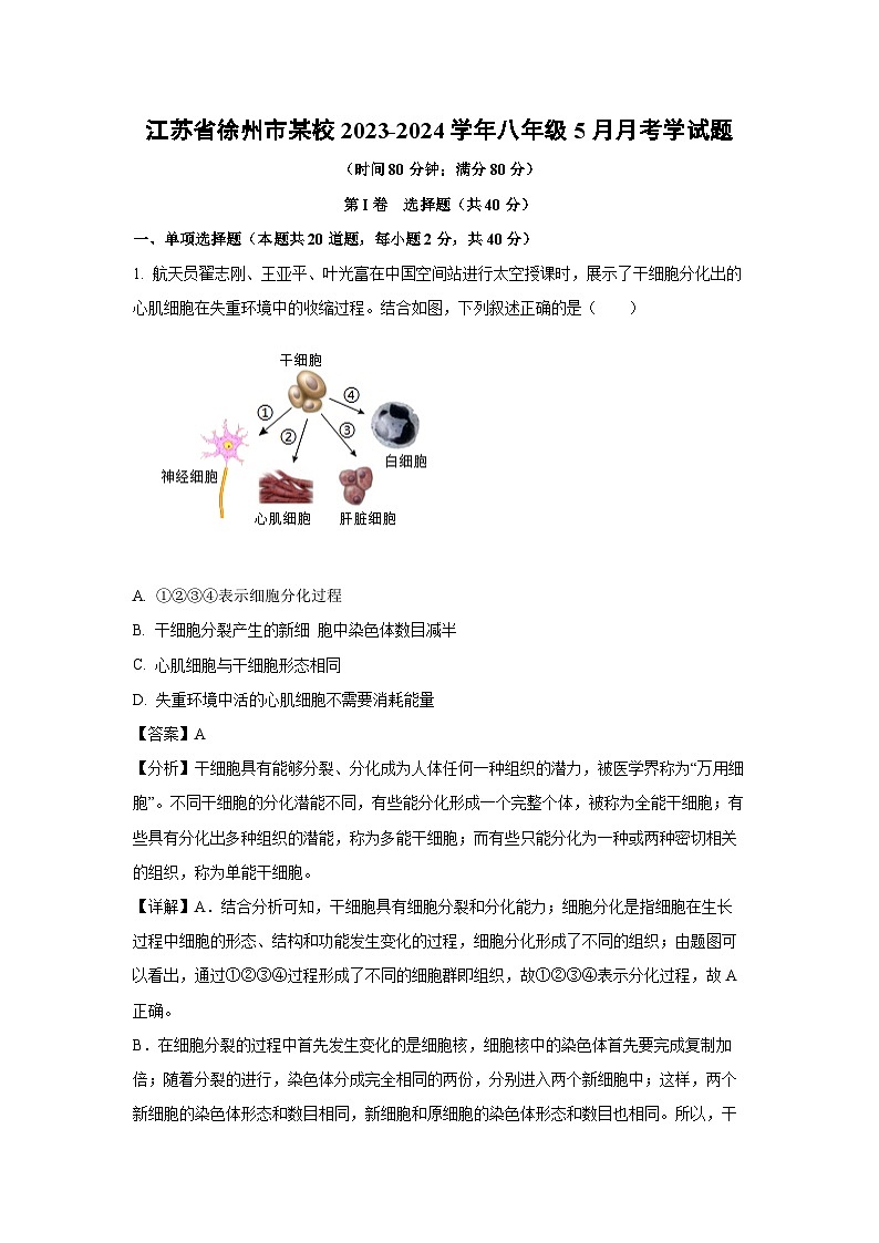 江苏省徐州市某校2023-2024学年八年级下5月月考学生物试卷(解析版)第1页