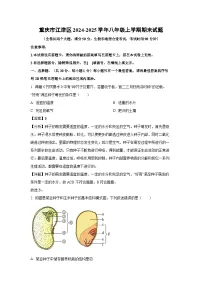2024-2025学年重庆市江津区八年级上学期期末生物试卷（解析版）