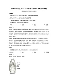 2024-2025学年重庆市合川区八年级上学期期末生物试卷(解析版)