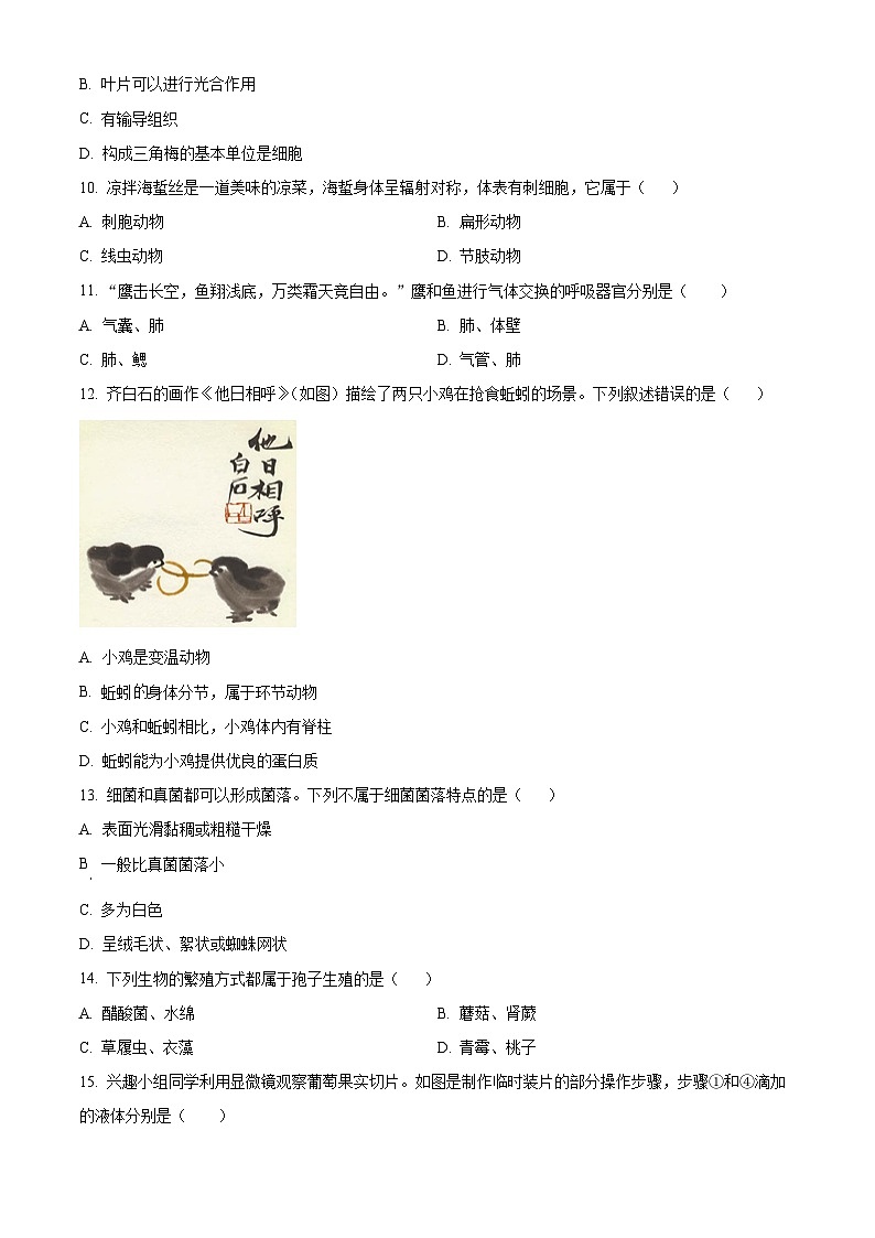 江西省赣州市章贡区2024-2025学年七年级上学期期末生物试题(原卷版+解析版)第2页