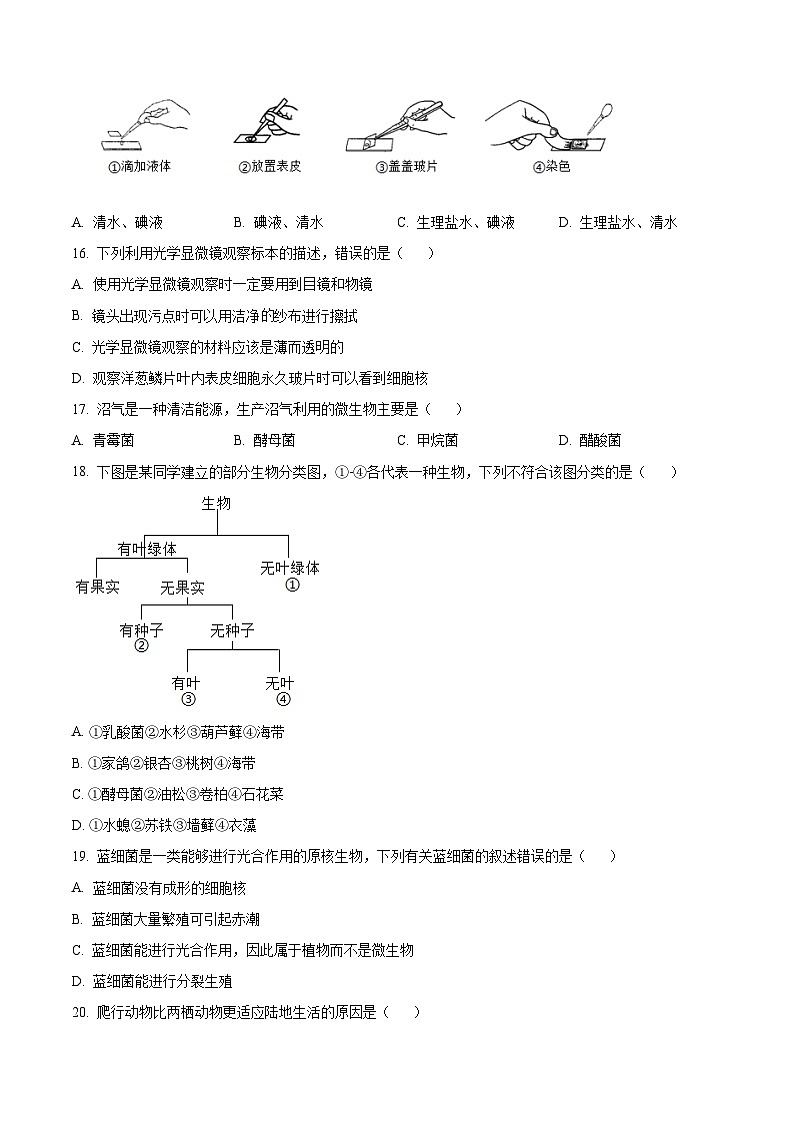 江西省赣州市章贡区2024-2025学年七年级上学期期末生物试题(原卷版+解析版)第3页