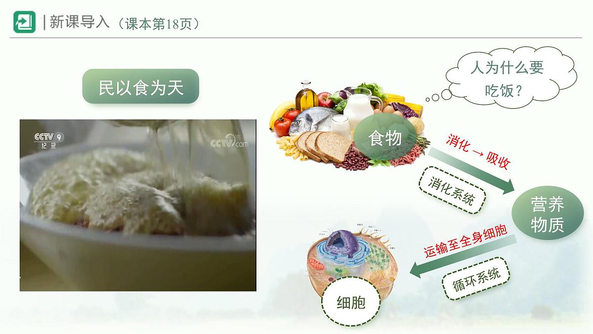 4.2.1食物中的营养物质课件-2024年人教版生物七年级下册第2页