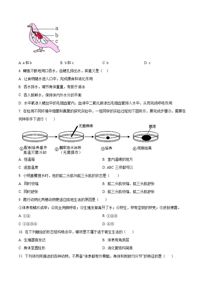 四川省泸州市龙马潭区2024-2025学年八年级上学期期末生物试题(原卷版+解析版)第2页