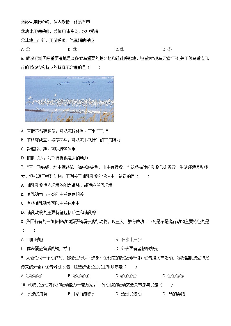 湖北省武汉市洪山区2024-2025学年八年级上学期期末生物试题(原卷版+解析版)第2页