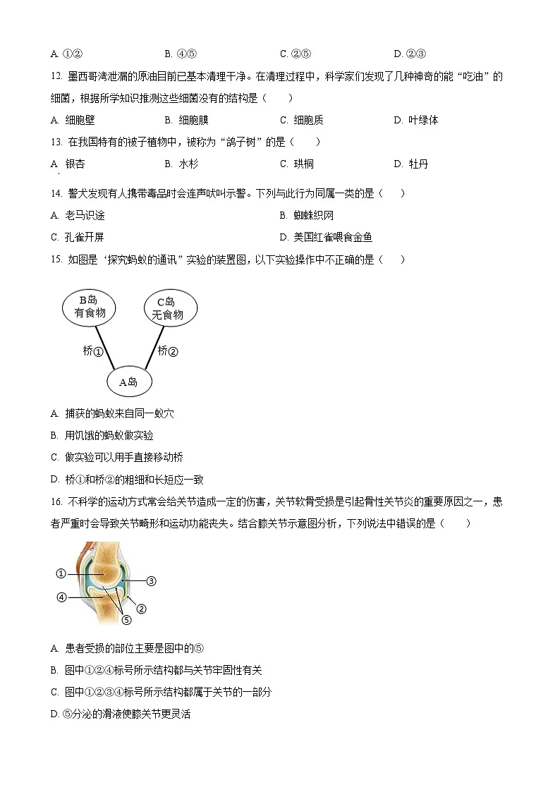 河南省商丘市夏邑县县城中学联考2024-2025学年八年级上学期期末生物试题(原卷版+解析版)第3页