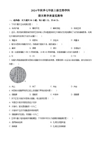 广东省湛江市徐闻县2024-2025学年七年级上学期期末生物试题(原卷版+解析版)