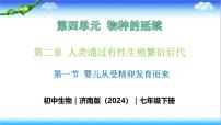 初中生物济南版(2024)七年级下册(2024)第一节 婴儿从受精卵发育而来精品教学课件ppt