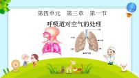 初中生物人教版(2024)七年级下册(2024)第一节 呼吸道对空气的处理优秀课件ppt