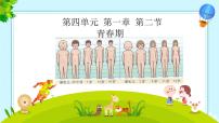 七年级下册（2024）第二节 青春期优秀ppt课件