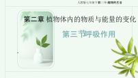 初中生物人教版(2024)七年级下册(2024)呼吸作用优秀课件ppt