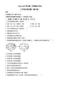 河北省邯郸市广平县2024-2025学年七年级上学期期末生物试题（原卷版+解析版）