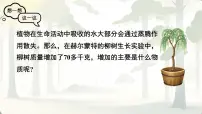 人教版（2024）七年级下册（2024）光合作用优质课ppt课件